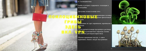 стафф Кодинск