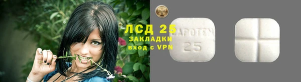 стафф Кодинск