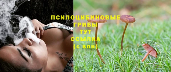 стафф Кодинск
