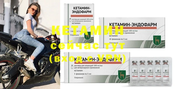 стафф Кодинск