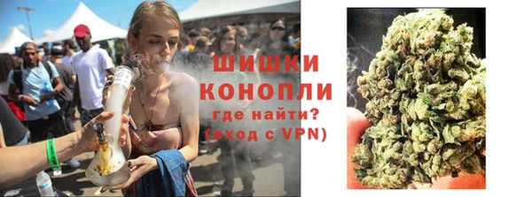 стафф Кодинск