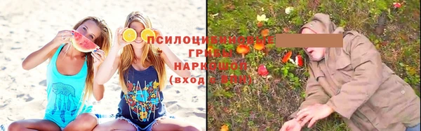 трава Козловка
