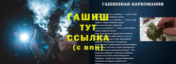 стафф Кодинск