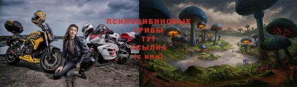 стафф Кодинск