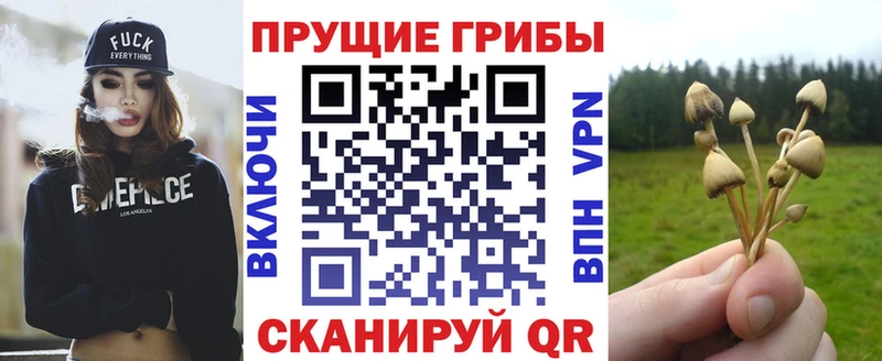 Псилоцибиновые грибы прущие грибы  Орск 