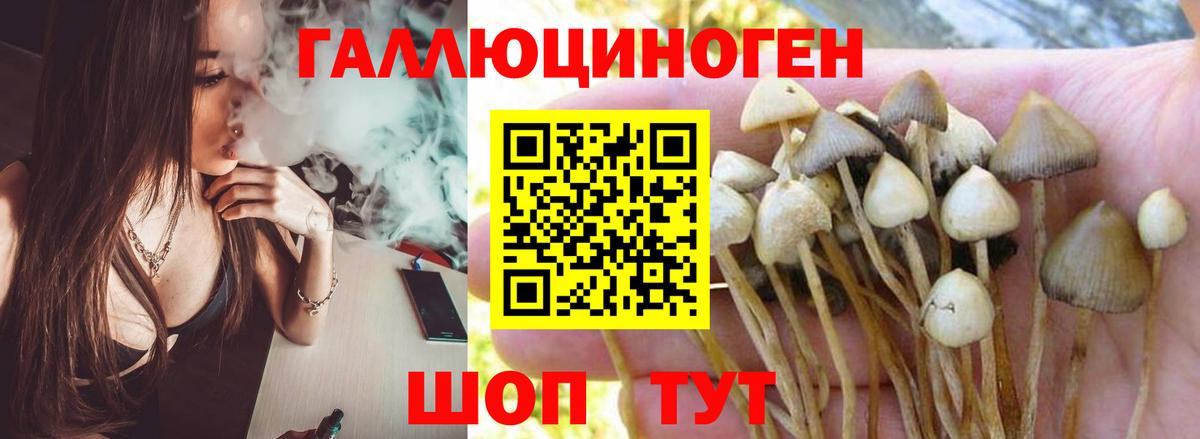 Орск  Псилоцибиновые грибы Psilocybe  Вход с VPN 